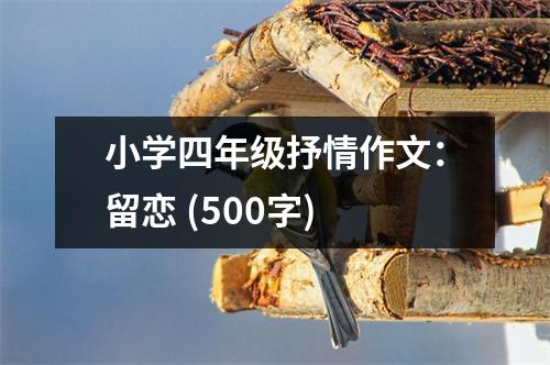 小學(xué)四年級(jí)抒情作文：留戀 (500字)