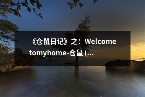 《倉(cāng)鼠日記》之：Welcometomyhome-倉(cāng)鼠 (450字)