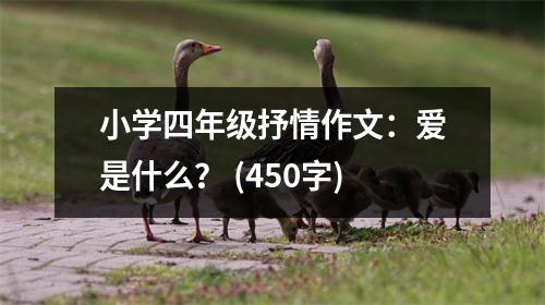 小學(xué)四年級(jí)抒情作文：愛(ài)是什么？ (450字)