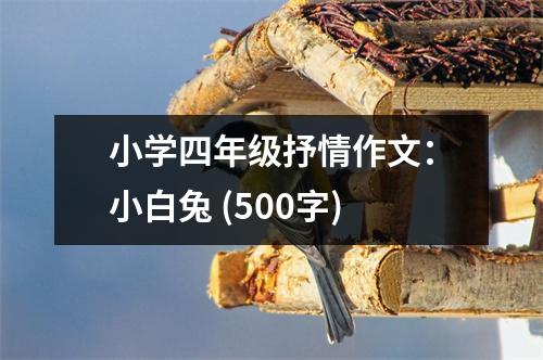 小學(xué)四年級(jí)抒情作文：小白兔 (500字)
