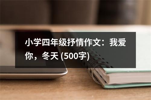 小學(xué)四年級(jí)抒情作文：我愛(ài)你，冬天 (500字)