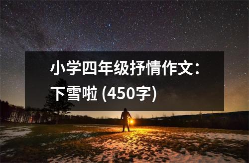 小學(xué)四年級抒情作文：下雪啦 (450字)