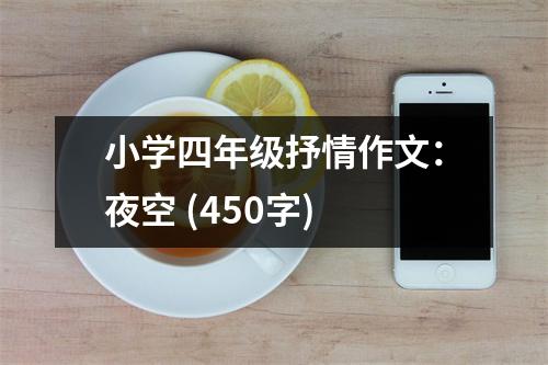 小學(xué)四年級抒情作文：夜空 (450字)