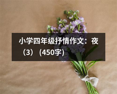 小學(xué)四年級抒情作文：夜（3） (450字)