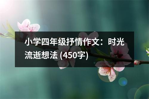 小學(xué)四年級抒情作文：時光流逝想法 (450字)