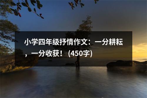 小學(xué)四年級抒情作文：一分耕耘，一分收獲！ (450字)