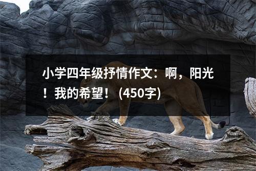小學(xué)四年級抒情作文：啊，陽光！我的希望！ (450字)