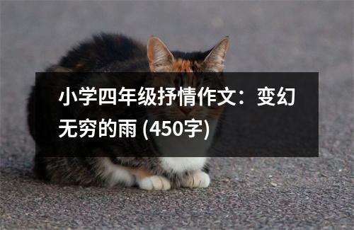 小學(xué)四年級抒情作文：變幻無窮的雨 (450字)