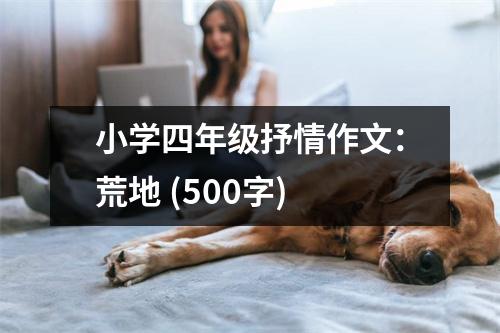 小學(xué)四年級(jí)抒情作文：荒地 (500字)