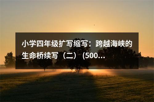 小學(xué)四年級擴(kuò)寫縮寫：跨越海峽的生命橋續(xù)寫（二） (500字)