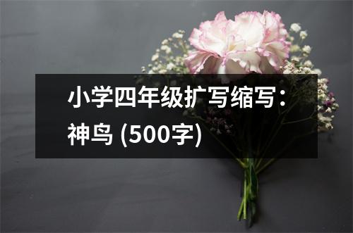 小學(xué)四年級擴寫縮寫：神鳥 (500字)