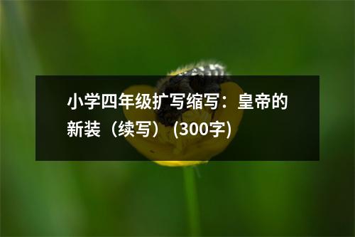 小學(xué)四年級擴寫縮寫：皇帝的新裝（續(xù)寫） (300字)