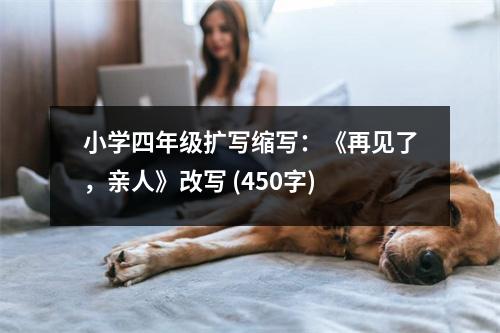 小學四年級擴寫縮寫：《再見了，親人》改寫 (450字)
