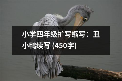 小學四年級擴寫縮寫：丑小鴨續(xù)寫 (450字)