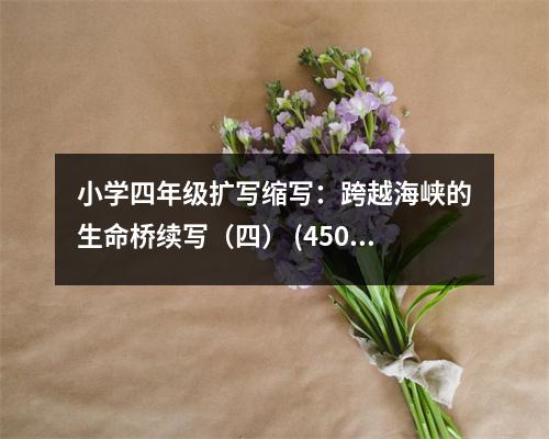 小學(xué)四年級擴(kuò)寫縮寫：跨越海峽的生命橋續(xù)寫（四） (450字)