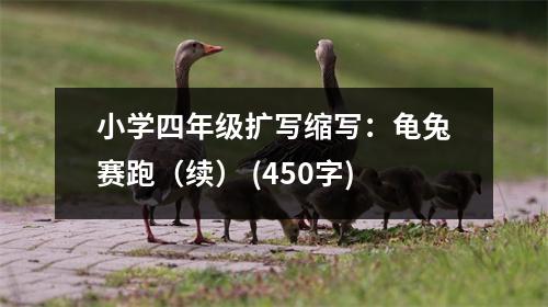 小學(xué)四年級擴(kuò)寫縮寫：龜兔賽跑（續(xù)） (450字)