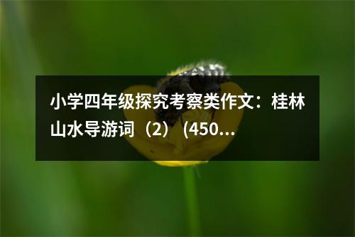 小學(xué)四年級(jí)探究考察類(lèi)作文：桂林山水導(dǎo)游詞（2） (450字)