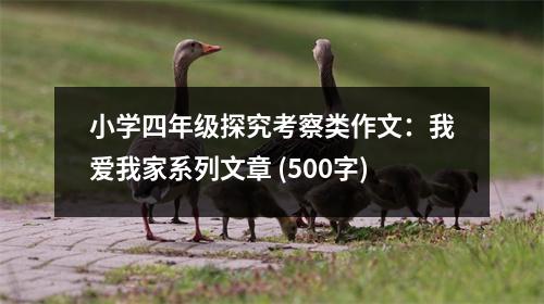 小學(xué)四年級探究考察類作文：我愛我家系列文章 (500字)