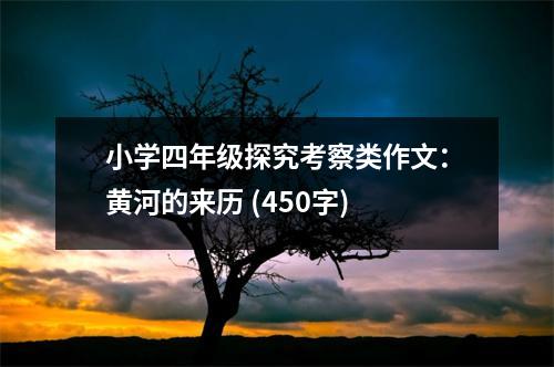 小學四年級探究考察類作文：黃河的來歷 (450字)