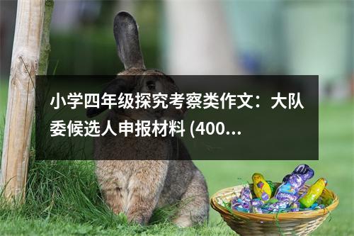 小學四年級探究考察類作文：大隊委候選人申報材料 (400字)