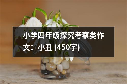 小學四年級探究考察類作文：小丑 (450字)