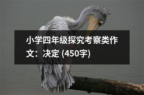 小學四年級探究考察類作文：決定 (450字)