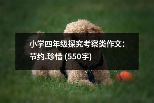 小學四年級探究考察類作文：節(jié)約.珍惜 (550字)