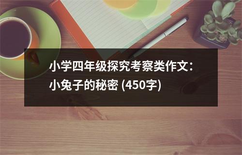 小學(xué)四年級(jí)探究考察類作文：小兔子的秘密 (450字)
