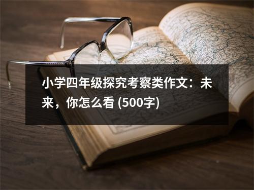 小學(xué)四年級(jí)探究考察類作文：未來(lái)，你怎么看 (500字)