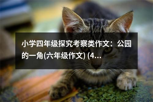 小學(xué)四年級(jí)探究考察類作文：公園的一角(六年級(jí)作文) (400字)