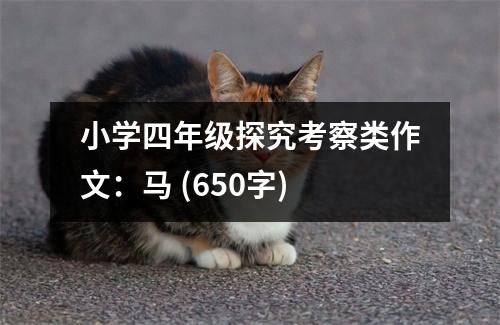 小學四年級探究考察類作文：馬 (650字)
