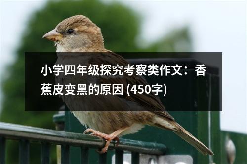 小學(xué)四年級(jí)探究考察類作文：香蕉皮變黑的原因 (450字)