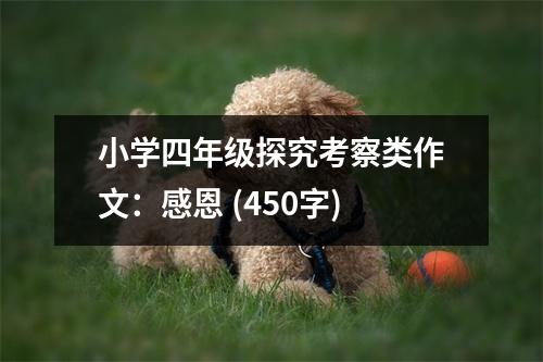 小學四年級探究考察類作文：感恩 (450字)