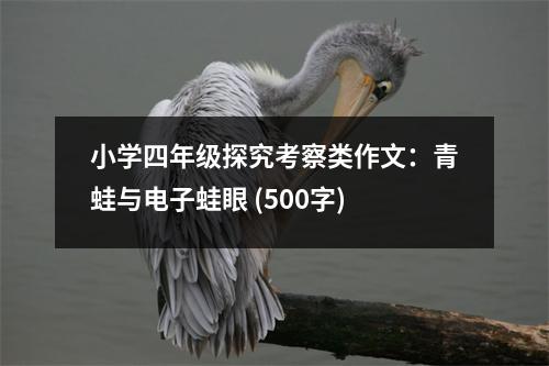 小學(xué)四年級(jí)探究考察類作文：青蛙與電子蛙眼 (500字)