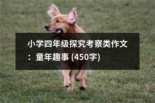 小學(xué)四年級探究考察類作文：童年趣事 (450字)