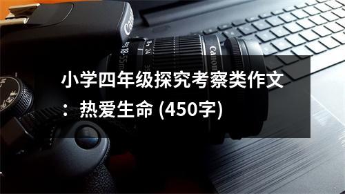 小學(xué)四年級(jí)探究考察類作文：熱愛(ài)生命 (450字)
