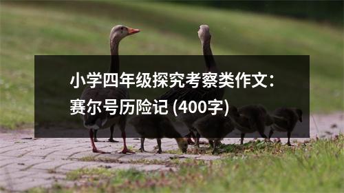 小學(xué)四年級(jí)探究考察類作文：賽爾號(hào)歷險(xiǎn)記 (400字)