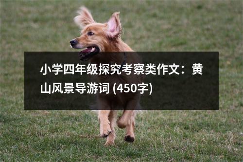 小學(xué)四年級(jí)探究考察類作文：黃山風(fēng)景導(dǎo)游詞 (450字)