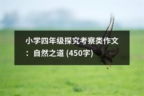 小學(xué)四年級(jí)探究考察類作文：自然之道 (450字)