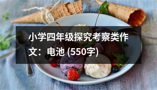 小學(xué)四年級(jí)探究考察類作文：電池 (550字)