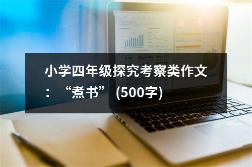 小學(xué)四年級(jí)探究考察類作文：“煮書” (500字)