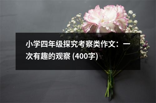 小學(xué)四年級(jí)探究考察類作文：一次有趣的觀察 (400字)