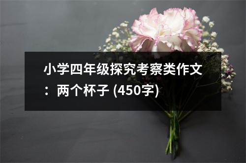 小學(xué)四年級(jí)探究考察類作文：兩個(gè)杯子 (450字)