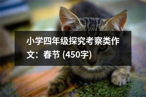 小學(xué)四年級探究考察類作文：春節(jié) (450字)