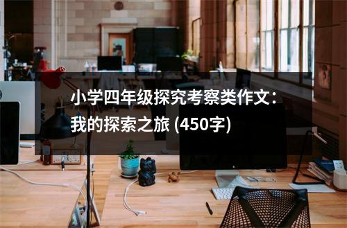 小學(xué)四年級探究考察類作文：我的探索之旅 (450字)