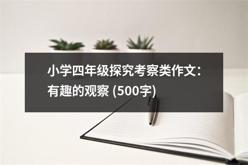 小學(xué)四年級探究考察類作文：有趣的觀察 (500字)