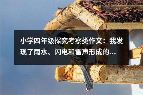 小學(xué)四年級(jí)探究考察類作文：我發(fā)現(xiàn)了雨水、閃電和雷聲形成的秘密 (450字)