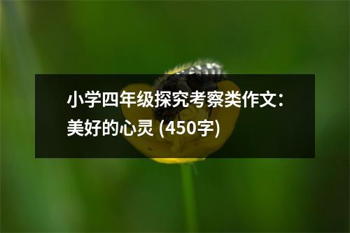 小學(xué)四年級(jí)探究考察類作文：美好的心靈 (450字)