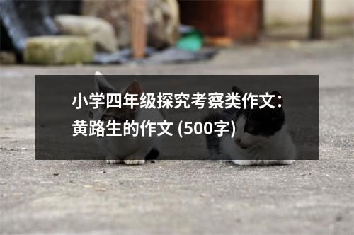 小學(xué)四年級(jí)探究考察類作文：黃路生的作文 (500字)