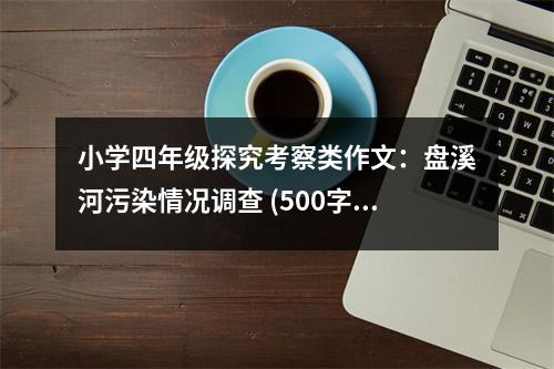 小學(xué)四年級(jí)探究考察類作文：盤溪河污染情況調(diào)查 (500字)
